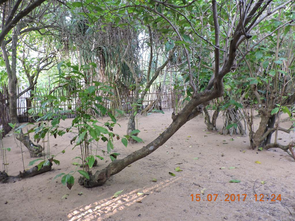 Akain Villa Dodanduwa Buitenkant foto